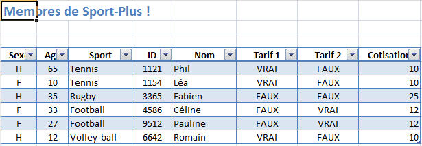 Exemple d'utilisation des fonctions ET et OU dans Excel