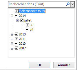 Menu des filtres chronologiques avancés